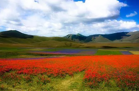 Casa rural L'ortolano *