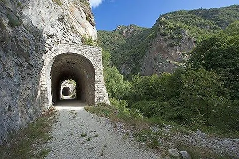 L'ortolano