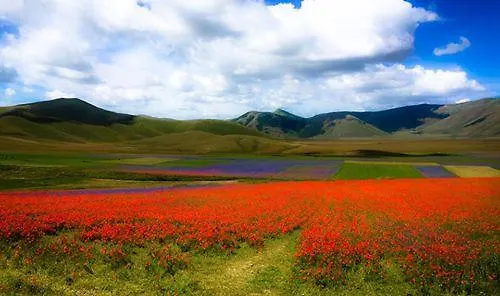 منزل ريفي L'ortolano *