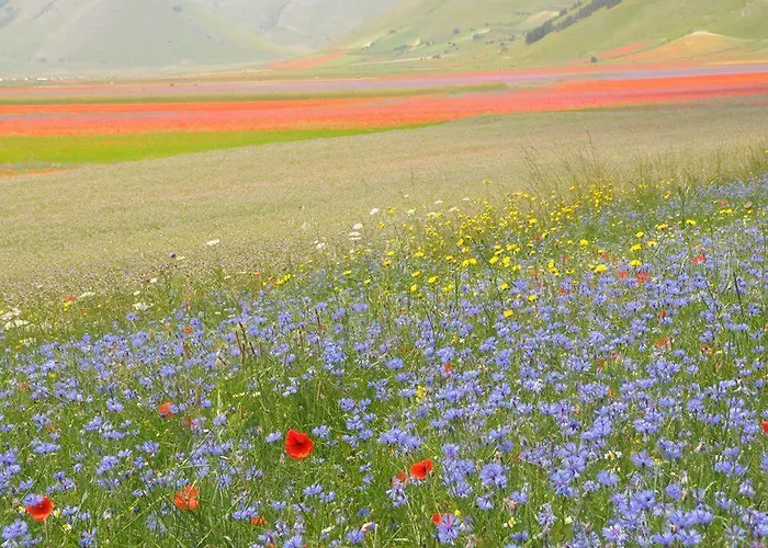 منزل ريفي L'ortolano