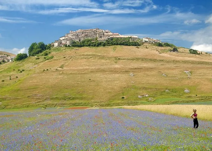 L'ortolano سبوليتو