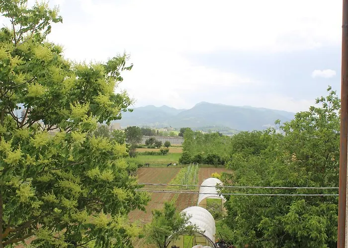 L'ortolano سبوليتو